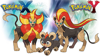 ... Pokemon X Y - - Litleo and Pyroar by Thelimomon HD wallpaper