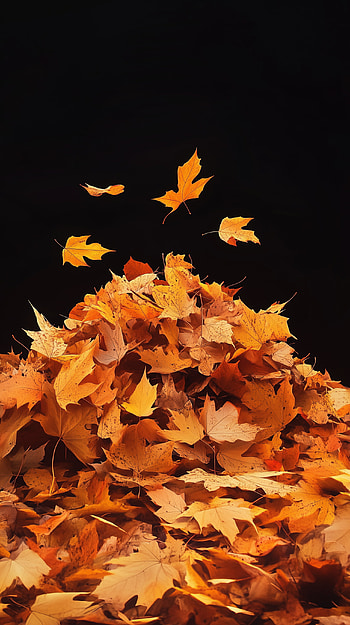 Serene Leaf Pile: A Perfect for Nature Lovers, Autumn, leaf, foliage, orange (Color) HD phone wallpaper