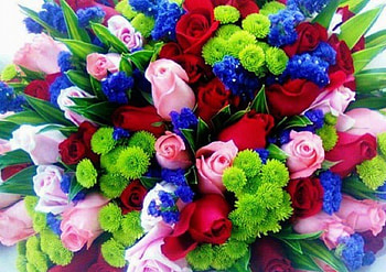 Colorful Rose Bouquet, colorful, pink, roses, red, nature, flowers HD wallpaper