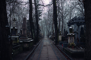road to the other side, desolate, lonely, shadowy, empty HD wallpaper