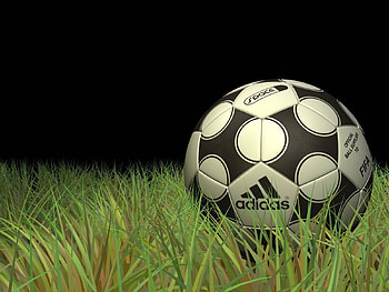 Sports, Grass, Football HD wallpaper