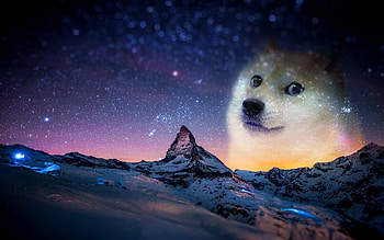 Doge Space HD wallpaper