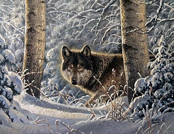 Wolf, winter, art, abraham hunter, painting, pictura, iarna, snow, forest, lup HD wallpaper