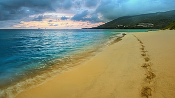 footprints on a beautiful beach r, sea, footprints, sand, r, beach HD wallpaper