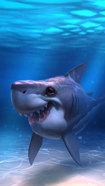 Shark, Blue, Fish HD phone wallpaper
