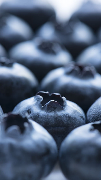 Food, Fruits , Fruit graphy HD phone wallpaper