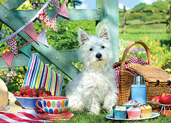 Picnic, dog, summer, art, cupcake, food, caine, vara HD wallpaper