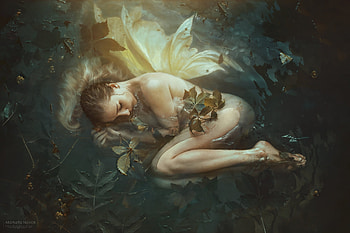 Fairy, wings, women, sleeping HD wallpaper