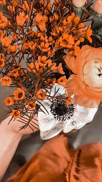 Orange Aesthetic, aesthetic HD phone wallpaper