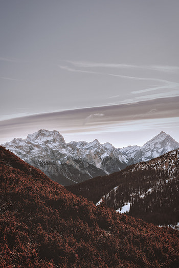Nature, Trees, Sky, Mountains, Vertex, Tops, Snow Covered, Snowbound HD phone wallpaper