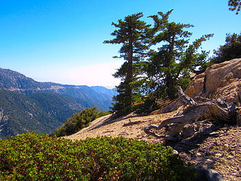 Trees and Shrubs shearing a rocky Hill., contemplative, beautiful, serene, inspiring HD wallpaper