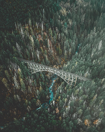 Bridge, forest, aerial view, nature HD phone wallpaper