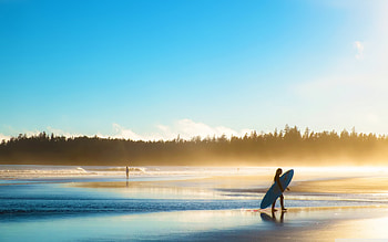 Surfboard marvels, Surfing collection, Vibrant waves, Surfing style HD wallpaper