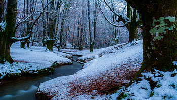 Snow, Nature, , Winter, Forest, Stream HD wallpaper