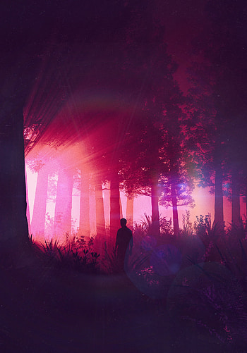 Art, Silhouette, Miscellanea, Miscellaneous, Forest, Human, Person HD phone wallpaper