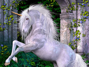 Unicorn, horse, nature, fantasy HD wallpaper