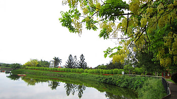 Tranquil lake reflection, reflection, lake, Tranquil, tree HD wallpaper