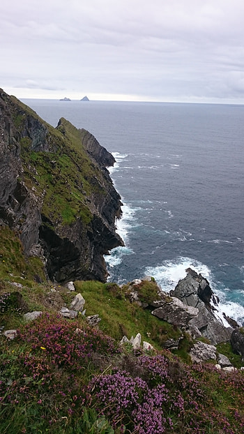 Skellig View, Bluebell rose, Kerry cliffs, Guest suites HD phone wallpaper