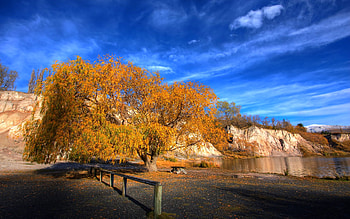 AUTUMN VIEW, bench, coast, fence, autumn, tree, beach HD wallpaper