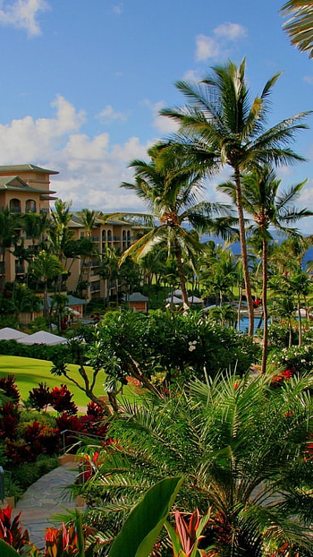 Preview hawaii, hotel, palm trees, swimming pool, sea, flowers HD phone wallpaper