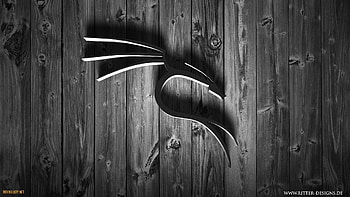 linux kali linux nethunter kali linux ... HD wallpaper