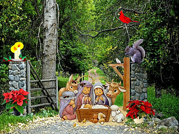 Jesus Christ among us, god, poinsettia, tree, religion, christianity, holiday, christmas, cardinal, jesus christ HD wallpaper