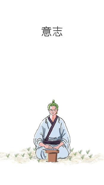 zoro, Roronoa Zoro HD phone wallpaper