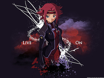 Code Geass, geass, kallen, stadtfeld, anime, kallen stadtfeld, live on HD wallpaper