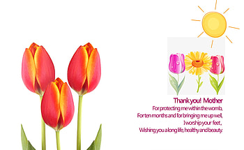 mothers day poem, mothers day, poem, tulips HD wallpaper