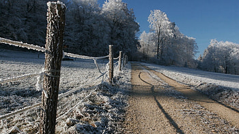 frozen countryside road, frozen, field, fence, road, forest, countryside HD wallpaper