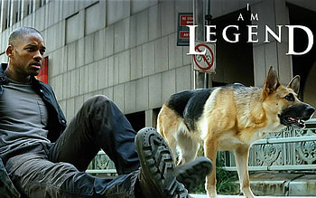 I Am Legend, Two endings explained, Possible sequel, Internet debate HD wallpaper