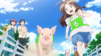 Anime, TsumaSho, Marika Shiraishi, Keisuke Niijima, Mai Niijima HD wallpaper