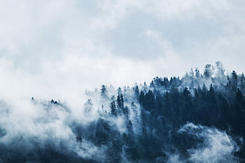 A serene view of a mist-covered forest on a mountain slope, creating a moody and mysterious atmosphere. HD wallpaper