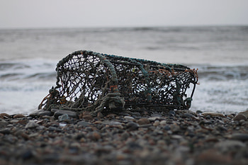 Sea, Shore, Bank, Miscellanea, Miscellaneous, Grid HD wallpaper