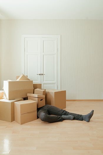 A person lying under a pile of moving boxes in a minimalistic room conveys tiredness from packing. HD phone wallpaper