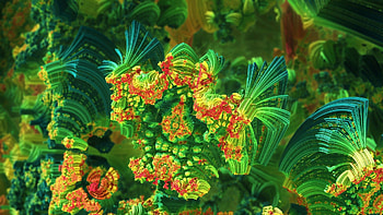 Abstract, Flowers, Patterns, Form, Forms, Colorful, Colourful HD wallpaper