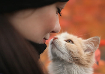 Catlover, animal, kitten, love, cute, cat, people, woman HD wallpaper
