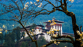 4-night, 5-day Bhutan tour, Nepal International Tours u0026 Treks, Cultural immersion, Unforgettable memories HD wallpaper