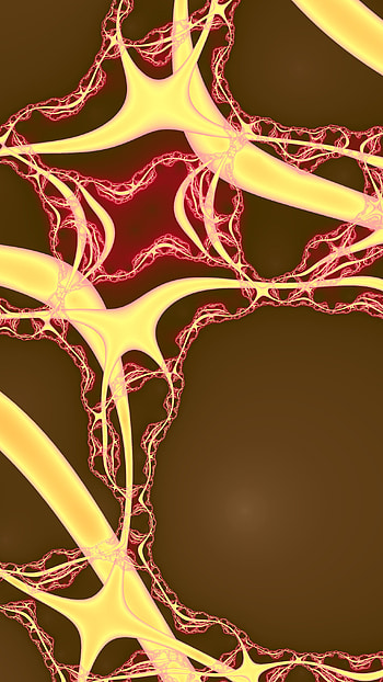 Trippy Psychedelic Fractal, Abstract, fractal HD phone wallpaper
