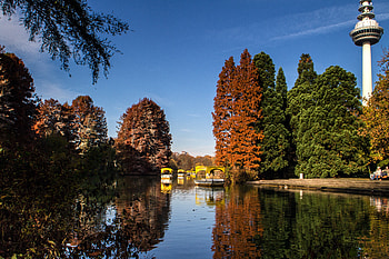 Nature, Trees, Autumn, Lake, Reflection, Park HD wallpaper
