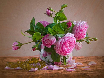 Beautiful roses, colorful, natural, roses, , floral, vase, still life, pink, petals, flowers, scent HD wallpaper