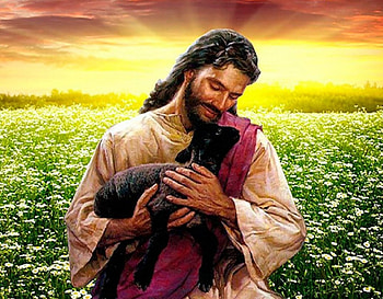 Supreme love, bible, love, sheep, jesus, christ, shepherd HD wallpaper