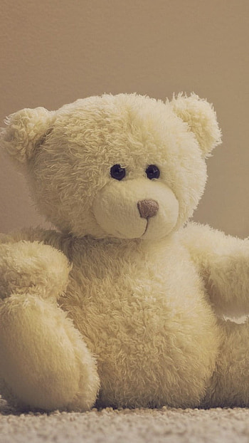 Teddy Bear Ka, White, Teddy Bear HD phone wallpaper