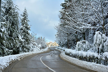 Highway, road, winter season, trees HD wallpaper