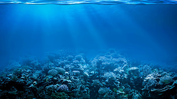 Sunlight, Coral Reefs HD wallpaper