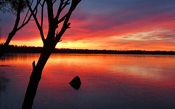 Lake Sunset, lakes, landscape, clouds, nature, sunset, tree HD wallpaper