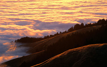 Thick Mountain Clouds, peach, slope, clouds, trees, mountains HD wallpaper