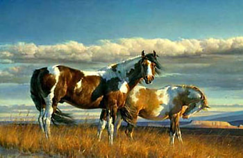 Paint Horses, horse, stallion, animals, cavalo HD wallpaper