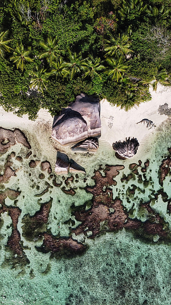 Nature, Water, Trees, Beach, Rocks, View From Above HD phone wallpaper