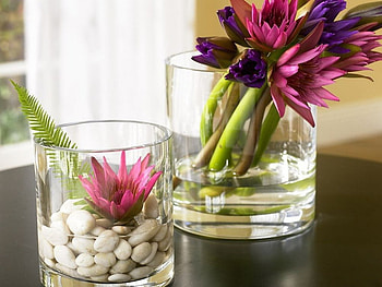STILL LIFE IN GLASS, blue, white, windows, posies, stones, purple, still life, pink, decoration, water lilies, glass HD wallpaper